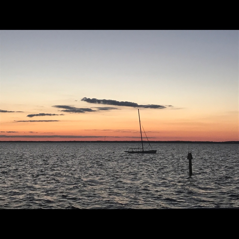 Meet your Posher, Ann